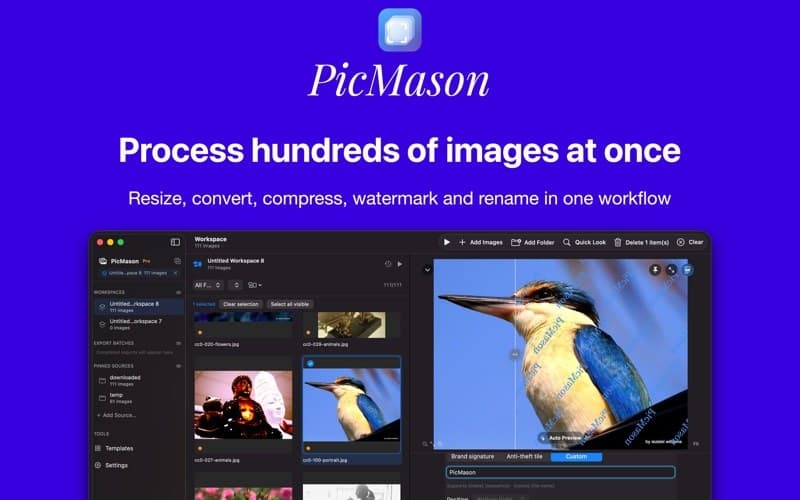 PicMason official product screenshot 1