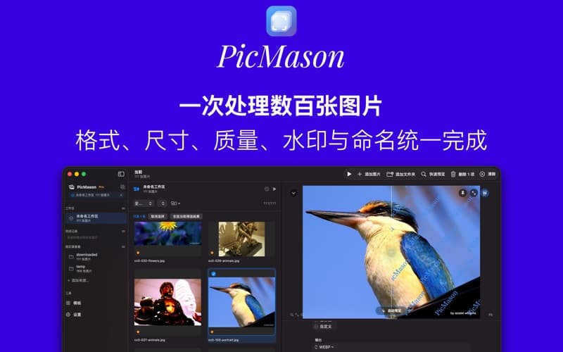 PicMason 官方产品截图 1