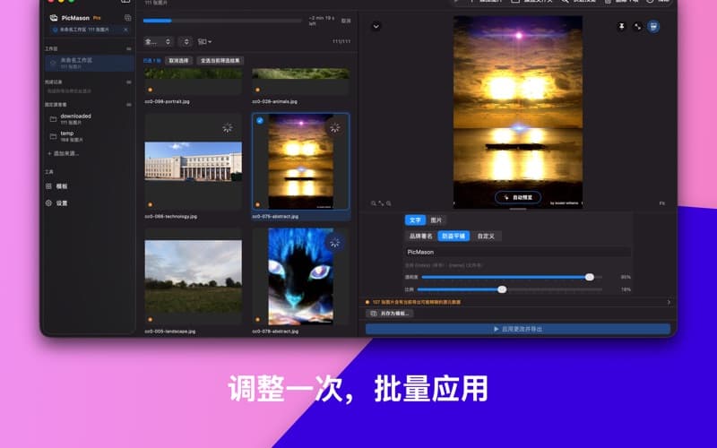 PicMason 官方产品截图 2